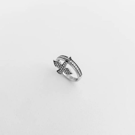 Anel Aparador do Espírito Santo